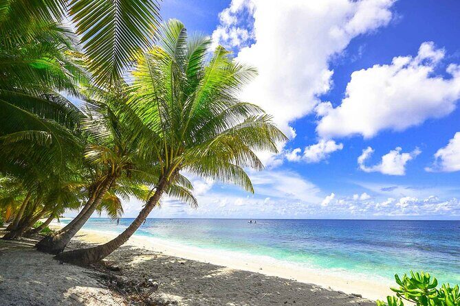 5 islands tour with Lunch Snorkeling and Plankton - Key points to know before you go