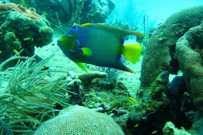 5 islands tour with Lunch Snorkeling and Plankton - Bocachica Fort stop: quick history with views you can feel