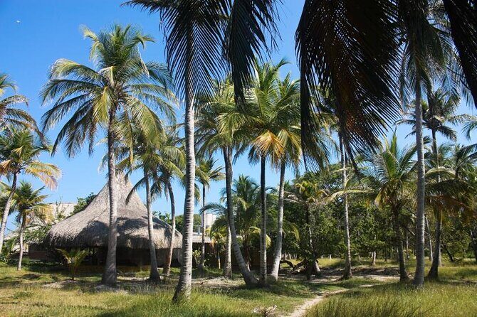5 Islands VIP Escape : Snorkeling, Private Lunch & Open Bar - From Early Check-In to Bocachica Fort Views
