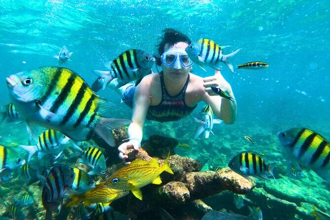 5 Stop Boat Tour Rosario Islands with Lunch, Forts, & Snorkeling - Quick hits before you go