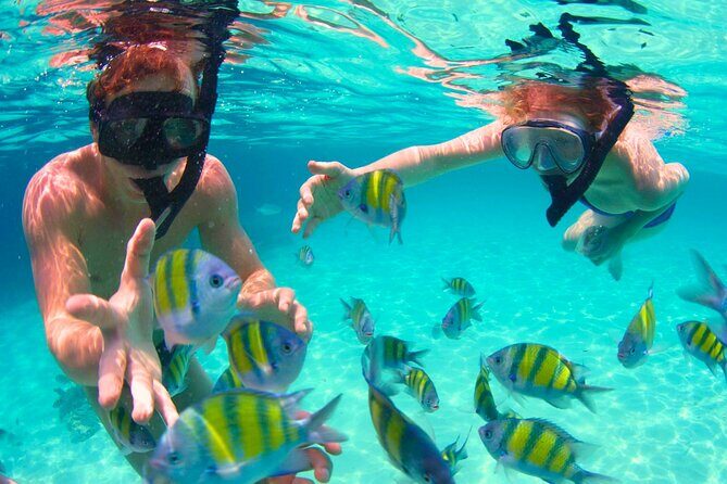 5 Stop Boat Tour Rosario Islands with Lunch, Forts, & Snorkeling - Isla Barú vs Isla Marina vs Islabela: picking your beach scene on this day trip