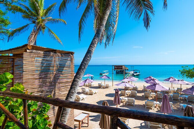 A Day to Private Island Luxury Beach Club with Food - Key Highlights Worth Your Attention