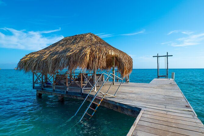 A Day to Private Island Luxury Beach Club with Food - Crowds, Vendors, and Animals: The Island Reality Check