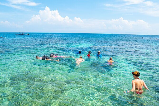 A whole day to the 5 Rosario Islands with snorkeling and plankton - Islas de Los Pajarales: oceanarium choice, coral time, or beach break