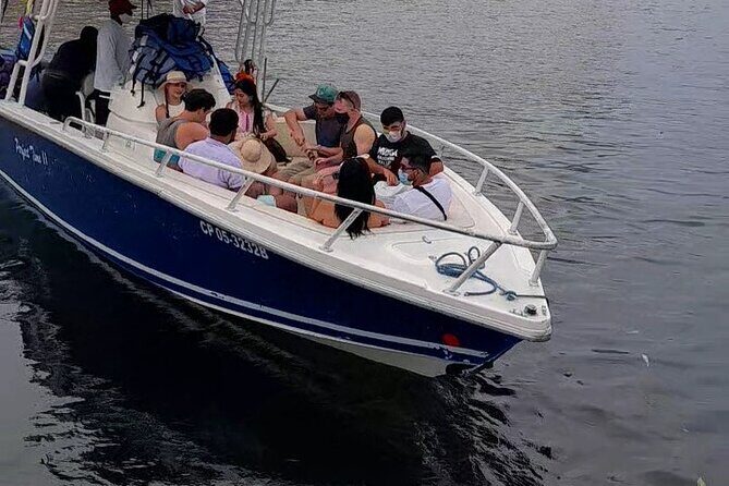 Adventure 5 Rosario Islands with Snorkel and plankton in Cartagena de indias - Rosario Islands in One Long Day: What You Really Get for $120