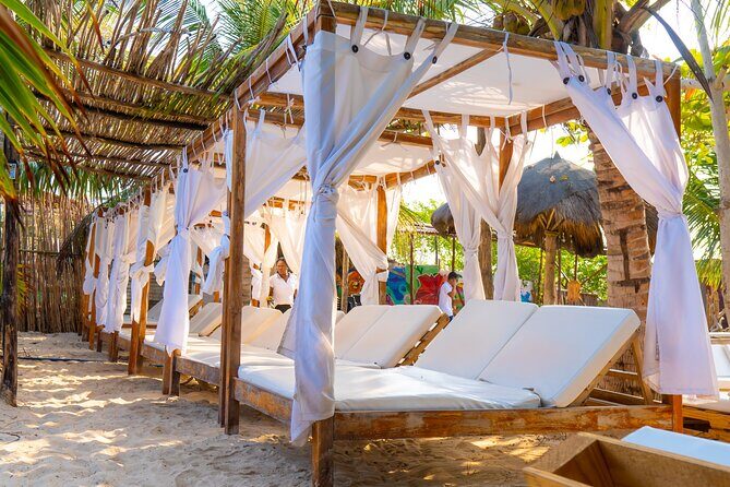 Adventure full day Isla Barú + Mangroves + Snorkel + bioluminescent plankton - Price and value: is $65 a good deal?
