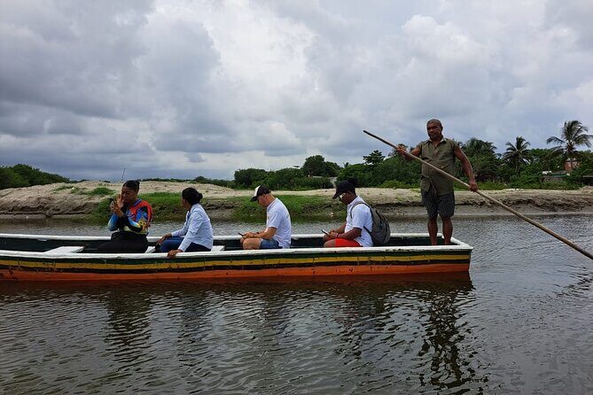 Artisanal Canoe Tour in the Mangrove with Afro-Caribbean Dance - The Mangrove Canoe: Nature Up Close, Plus Bird Watching