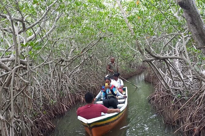 Artisanal Canoe Tour in the Mangrove with Afro-Caribbean Dance - Pickup Reality: What to Expect if You Stay in the Walled City
