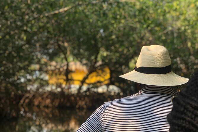 Authentic Cartagena City Tour - La Boquilla mangroves by canoe, then lunch by the sea