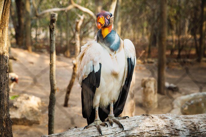 Aviario Nacional Including Playa Blanca Shared Tour - The value question: is $83 a good deal?
