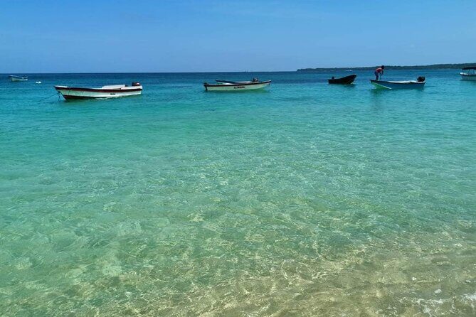 Banana Beach on the white beach of Baru - Cartagena to Isla Baru: the value of an executive car