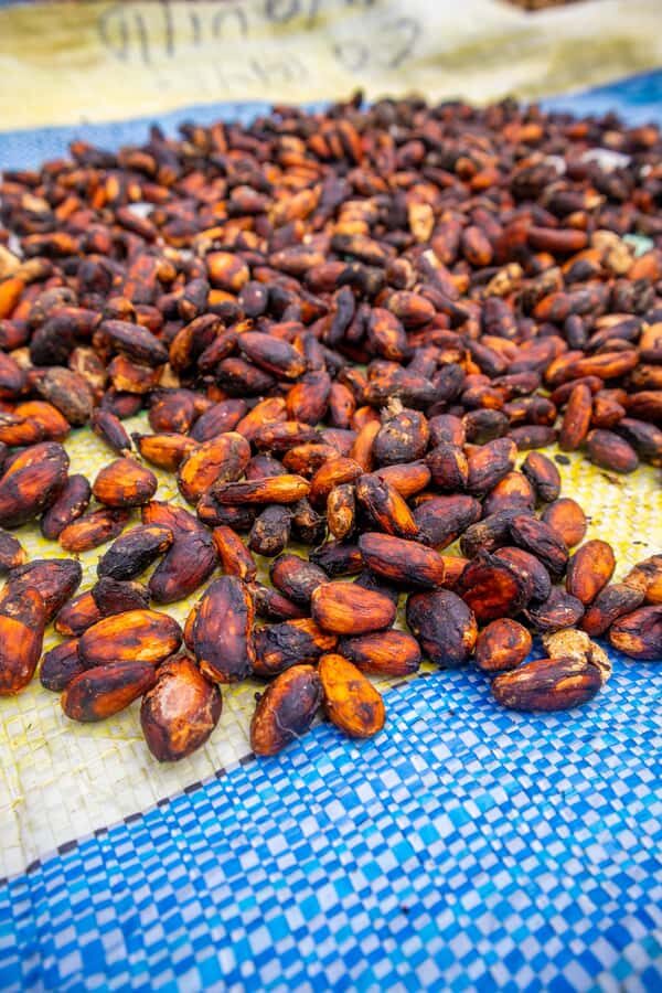 Bean to Bar: Cocoa and Chocolate Workshop - Duration, group setup, and what that means for your schedule
