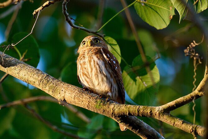 Birdwatching in a private nature reserve - Key things to know before you go
