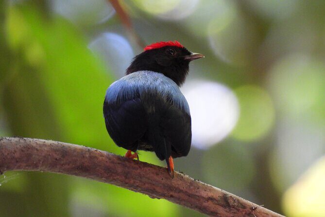 Birdwatching in a private nature reserve - What’s Included (And Why Those Details Add Real Value)