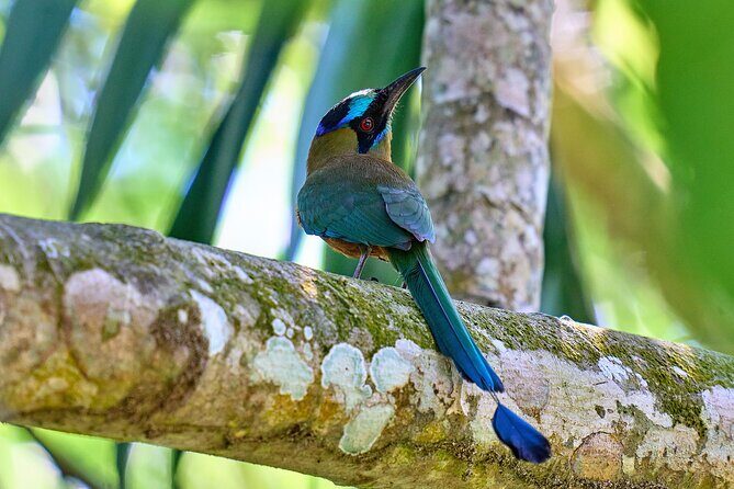 Birdwatching in a private nature reserve - Logistics That Keep the Day Smooth (Pickup, Timing, and Where It Starts)