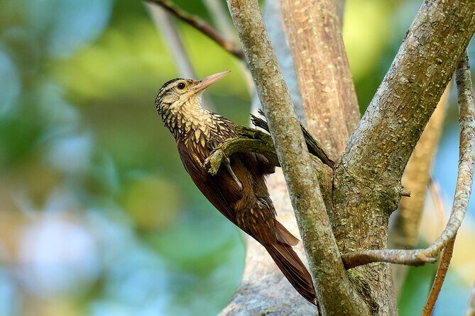 Birdwatching in a private nature reserve - What to Bring for a Comfortable Bird-Hiking Day