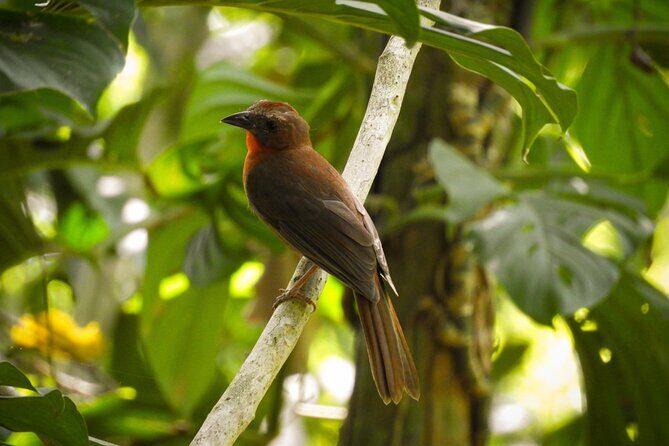 Birdwatching in a private nature reserve - The 8-Hour Flow: Walking, Listening, and Photographing Without Feeling Rushed