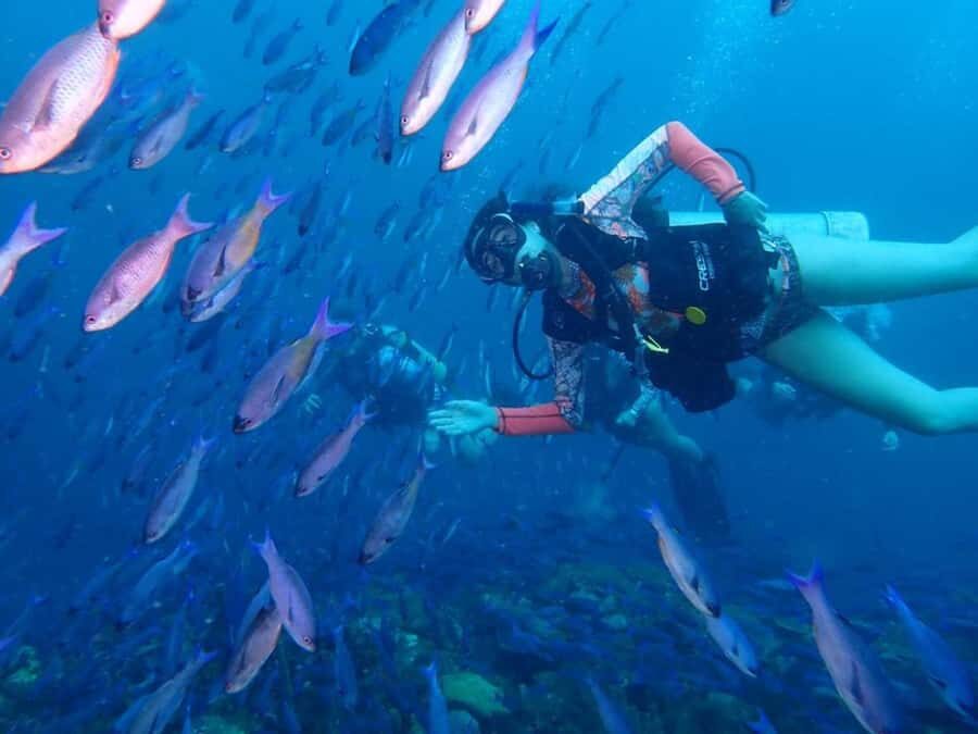 Cartagena: 2 Tanks Dive Plan For CERTIFIED DIVERS - Key Highlights You’ll Actually Feel