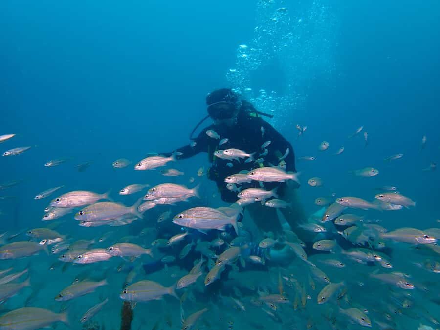 Cartagena: 2 Tanks Dive Plan For CERTIFIED DIVERS - Safety, Rules, and the Flying Warning You Must Follow