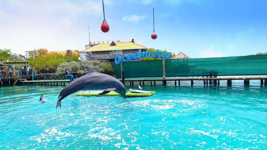 CARTAGENA: 4 islands by sport boat +oceanarium tickets - Bocha Chica on Tierra Bomba: Forts, Photos, and Bay Views