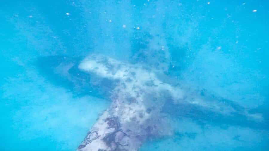 CARTAGENA: 4 islands by sport boat +oceanarium tickets - The Submerged Airplane Stop: A Quick Underwater Wow