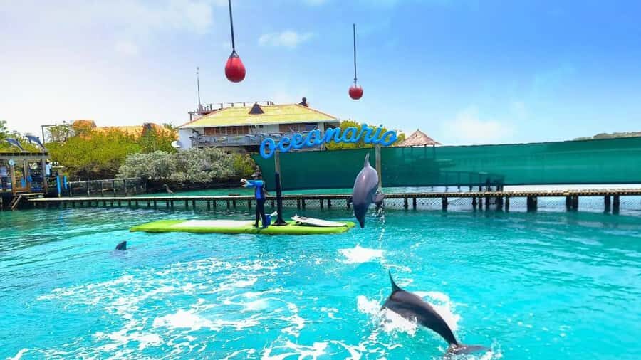 CARTAGENA: 4 islands by sport boat +oceanarium tickets - Oceanarium Entrance: Marine Life and Conservation Talk