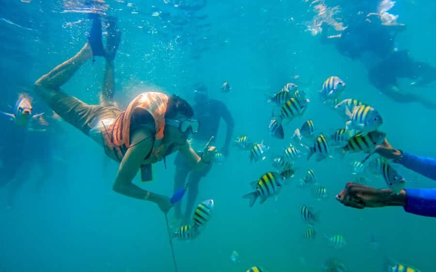 Cartagena: 5 Island Boat Tour with Night Bioluminescent Stop - Night Bioluminescent Plankton: How It Works and What to Watch
