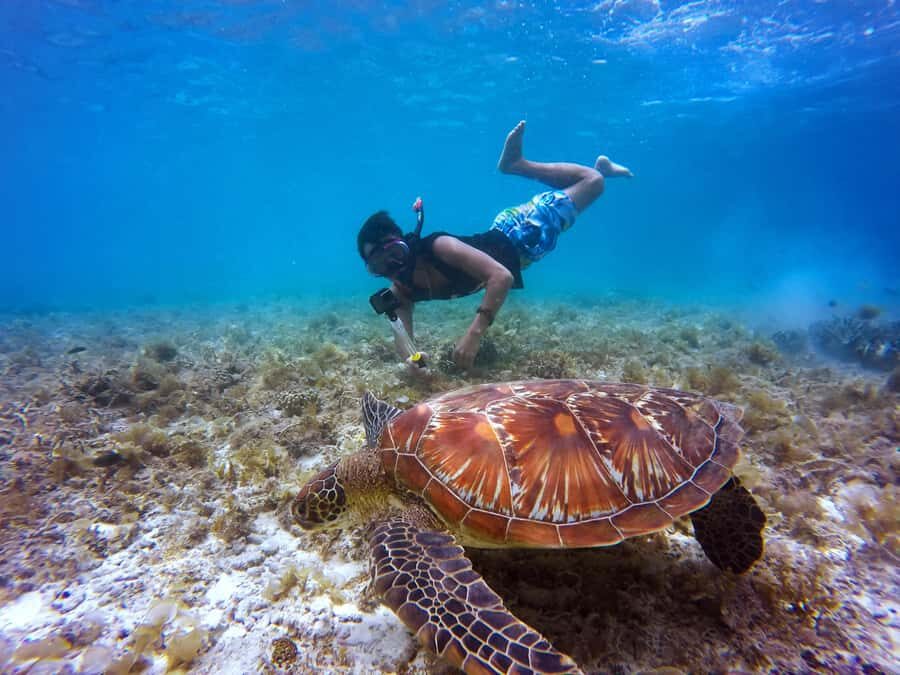 Cartagena: 5 Islands Boat Tour with Lunch, Snorkeling, & Bar - A full-day Rosario Islands route from Bocagrande