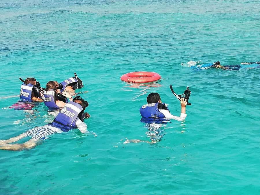 Cartagena: All-Inclusive Rosario Islands Speedboat Tour - Corales de Rosario National Park: Your Oceanarium vs Snorkel Choice