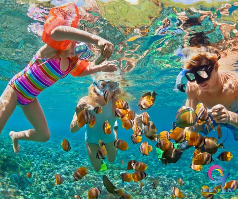 Cartagena: BARÚ Playa blanca with SNORKELING INCLUDED - Snorkeling and Photos at Playa Blanca: the main reason to do this