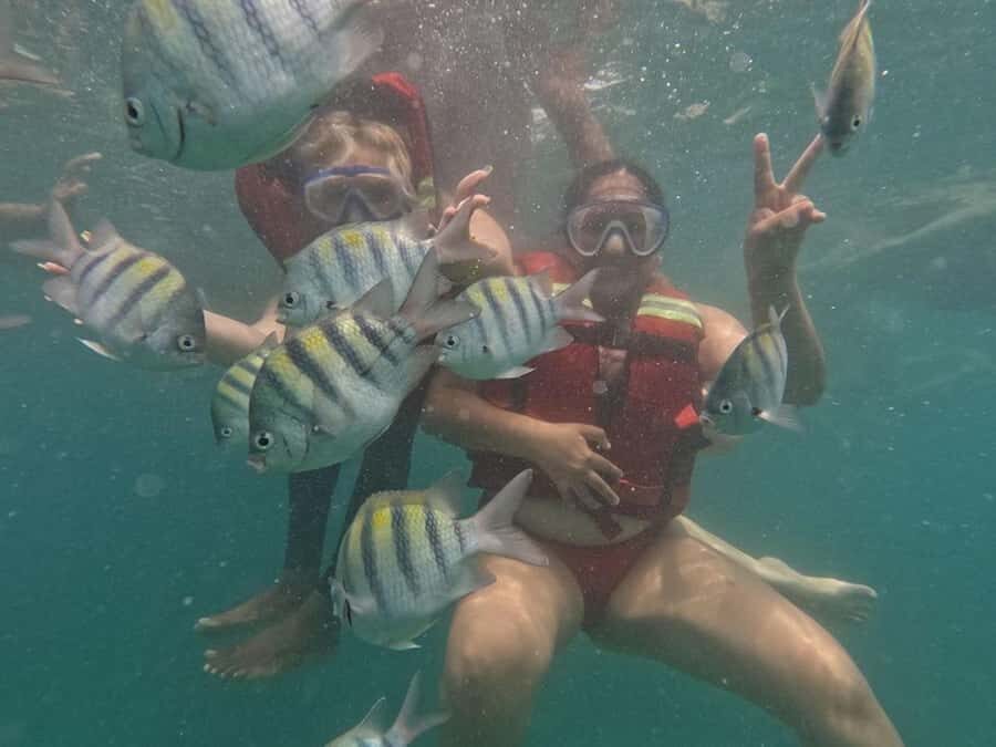 Cartagena: BARÚ Playa blanca with SNORKELING INCLUDED - The Playa Blanca snorkeling block: what you’re doing and how to make it enjoyable