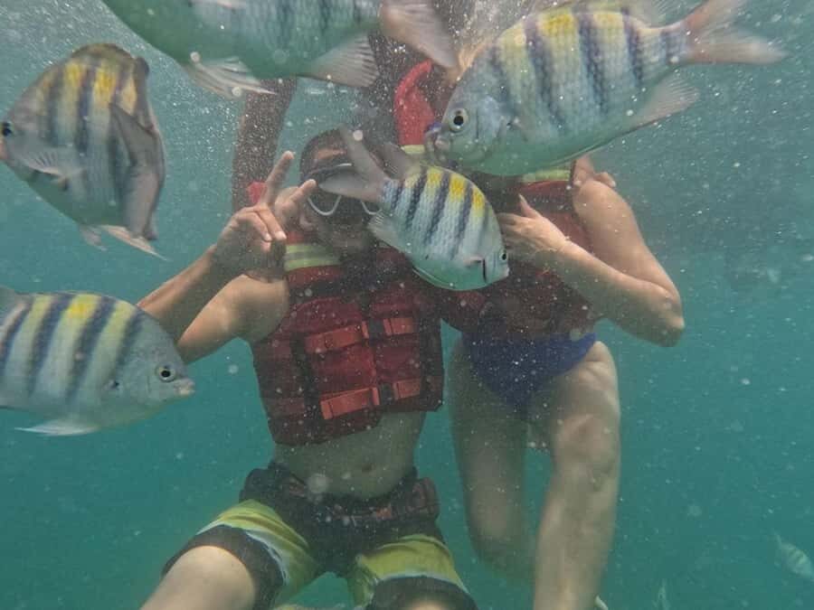 Cartagena: BARÚ Playa blanca with SNORKELING INCLUDED - From Cartagena early start to Barú Island: how the day actually runs