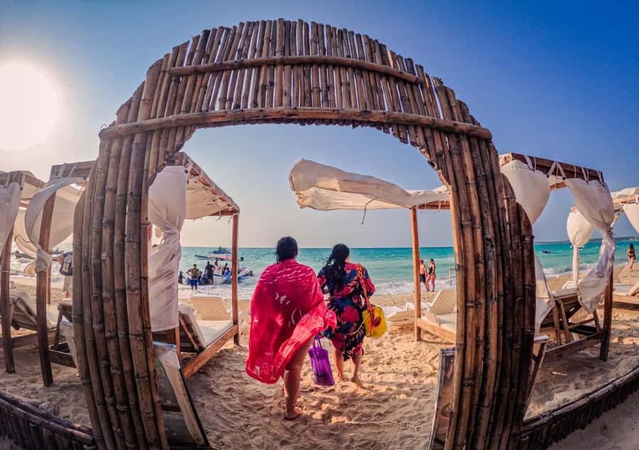 Cartagena: Barú Sunset Beach with Bioluminescent Plankton - The Mambo Beach dinner voucher: good value, but read it the right way