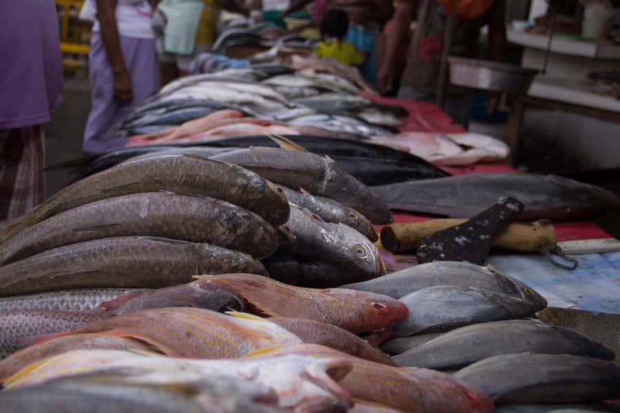 Cartagena Bazurto Market: Authentic Food & Culture Tour - The Practical Stuff That Makes the Tour Comfortable