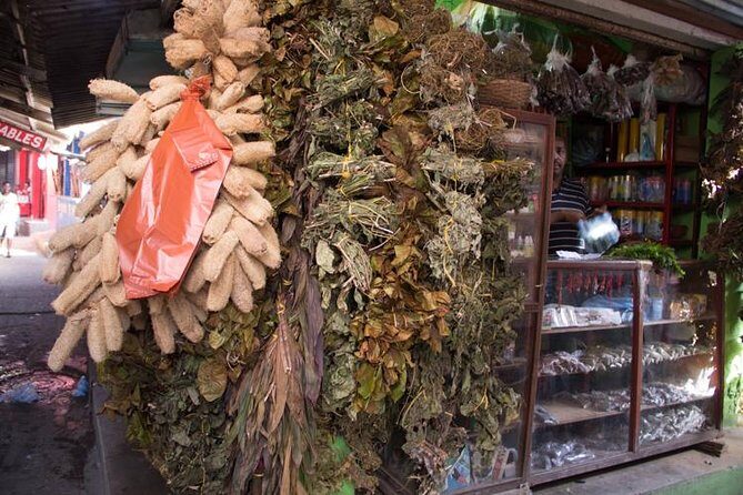 Cartagena Bazurto Market Tour: Authentic Local Flavor - Who should book this Bazurto Market tour (and who shouldn’t)