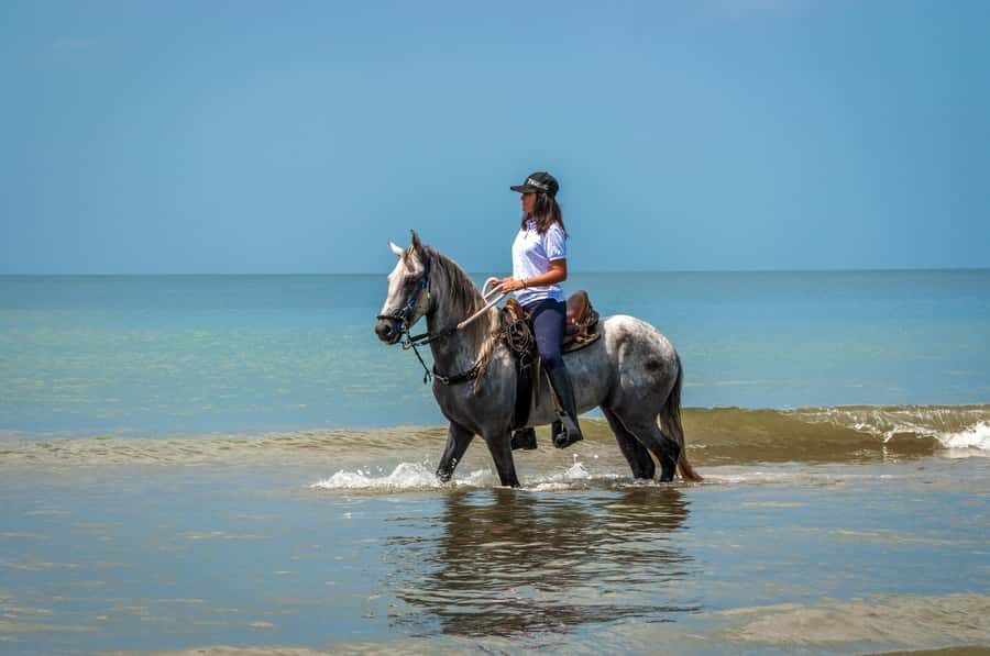 Cartagena: Beach Horse Ride and Colombian Equestrian Culture - Price and Value: Is $186 Worth It?