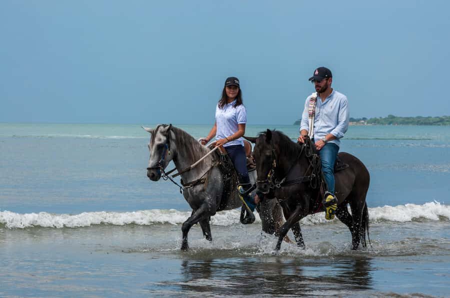 Cartagena: Beach Horse Ride and Colombian Equestrian Culture - Why a Beach Horse Ride in Cartagena Works So Well