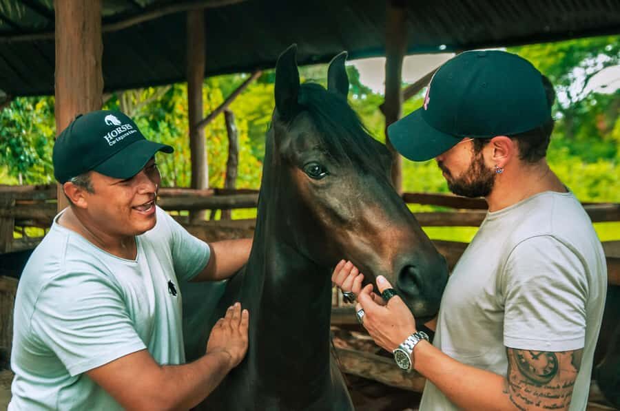 Cartagena: Beach Horse Ride and Colombian Equestrian Culture - The Paso Fino Lesson: What You’re Actually Learning