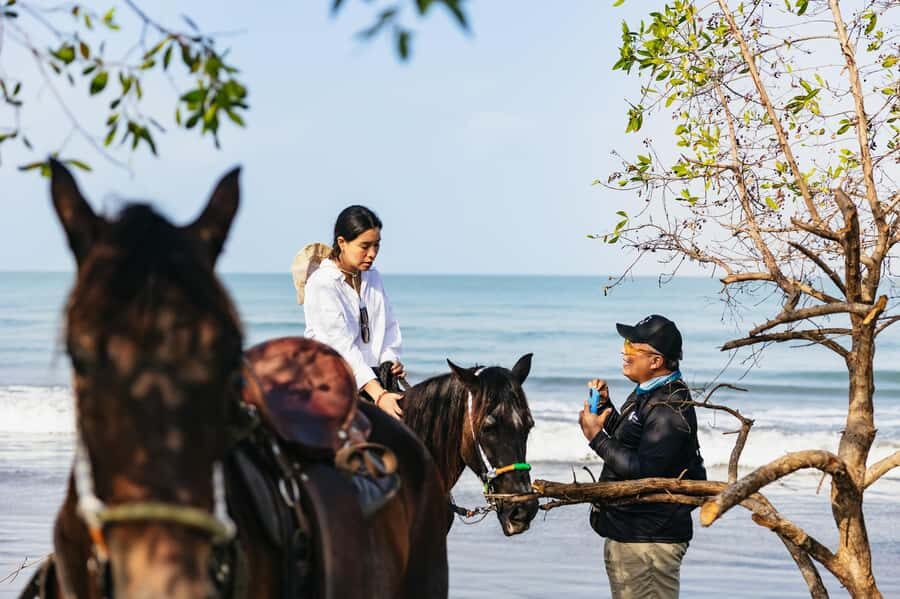 Cartagena: Beach Horse Ride and Colombian Equestrian Culture - Watching the Horses: Why the Demonstration Matters