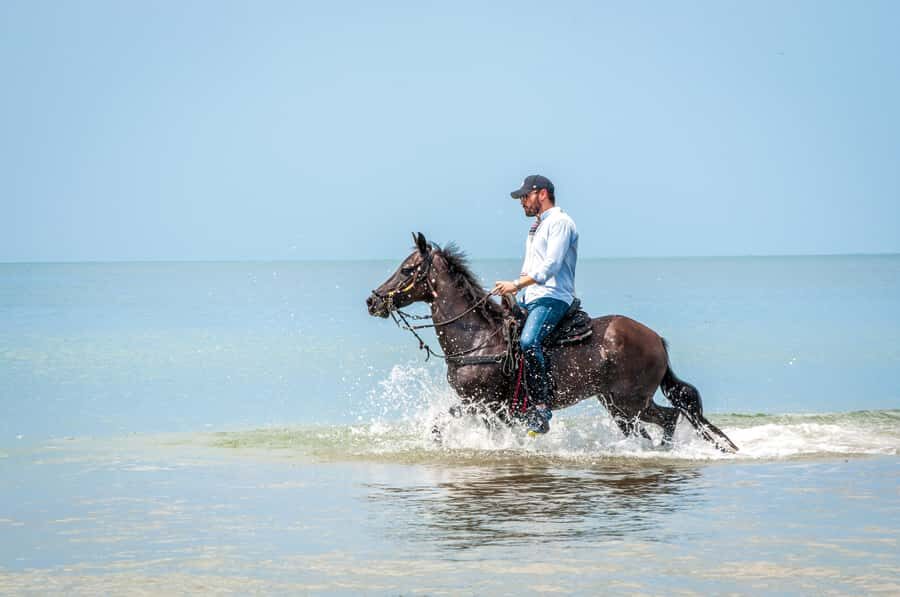Cartagena: Beach Horse Ride and Colombian Equestrian Culture - The Pairing Moment: Getting Matched to Your Riding Level