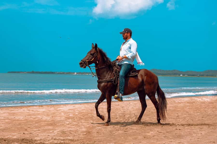 Cartagena: Beach Horse Ride and Colombian Equestrian Culture - The Beach Ride: Sea Breeze, Waves, and Real Quiet Time