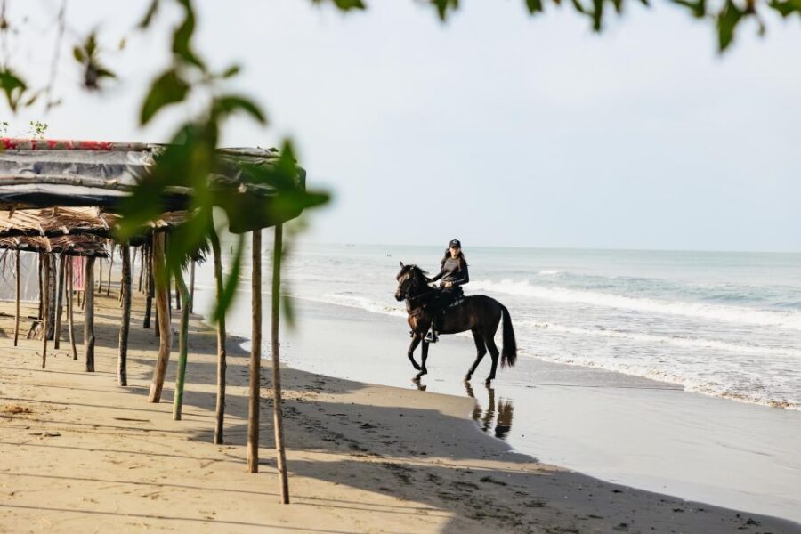 Cartagena: Beach Horse Ride and Colombian Equestrian Culture - The Restaurant Stop: A Relaxed Finish (With a Drink)