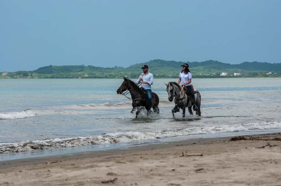 Cartagena: Beach Horse Ride and Colombian Equestrian Culture - Step One: Hotel Pickup and Transfer to the Ranch