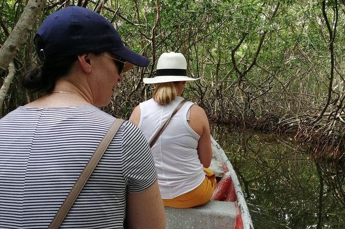 Cartagena : Boquilla and Mangroves Canue Ride (Also for Cruisers) - Group Size, Comfort, and the Private-Tour Difference