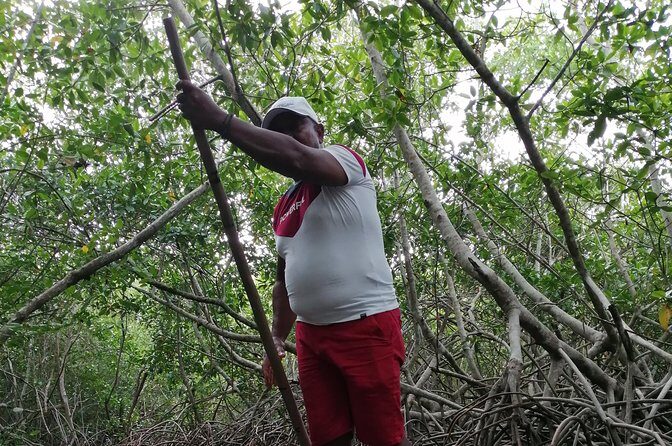 Cartagena : Boquilla and Mangroves Canue Ride (Also for Cruisers) - Price and Value: Why $152 Can Make Sense Here