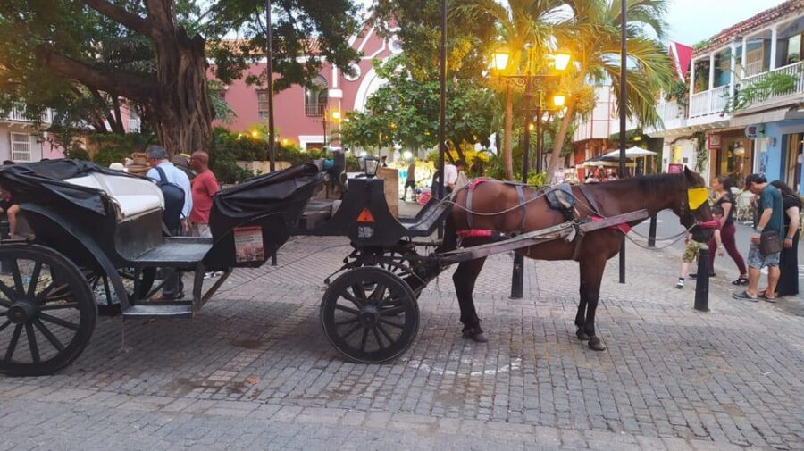 Cartagena: COLLONIAL HORSE DRAWN CARRIAGE by THE OLD CITY - Key highlights that make this carriage ride worth it