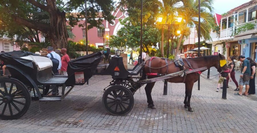 Cartagena: COLLONIAL HORSE DRAWN CARRIAGE by THE OLD CITY - Cartagena by carriage: what the experience really feels like