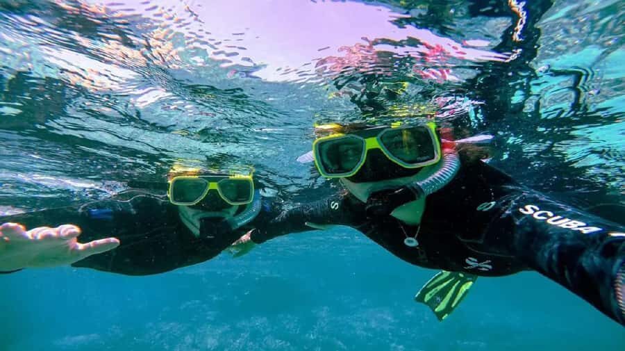 Cartagena: Coralina Island Day Trip with Lunch - Who should book (and who should skip)