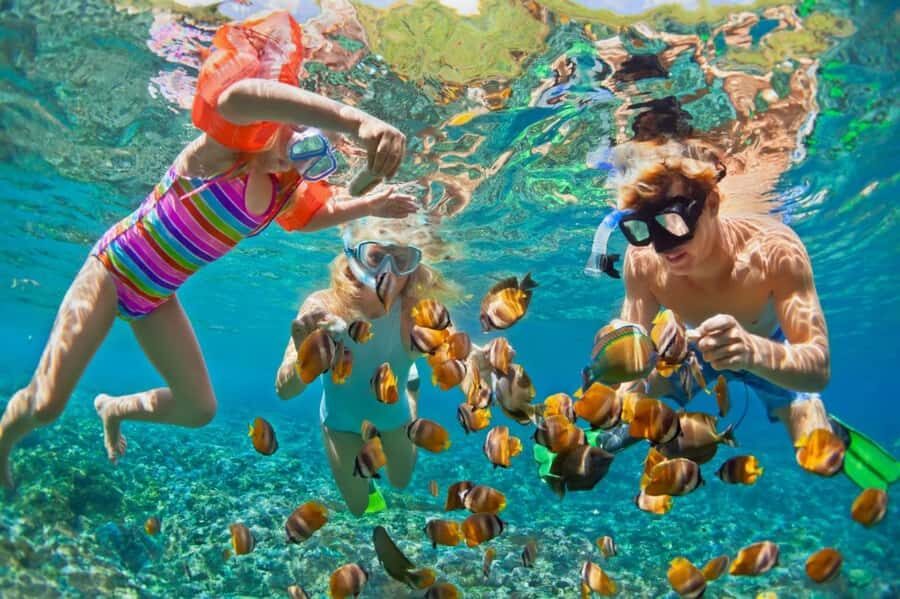 Cartagena de Indias: Pasadia 5 Islas del rosario and Baru boat trip - Who should book this Rosario Islands and Barú day trip