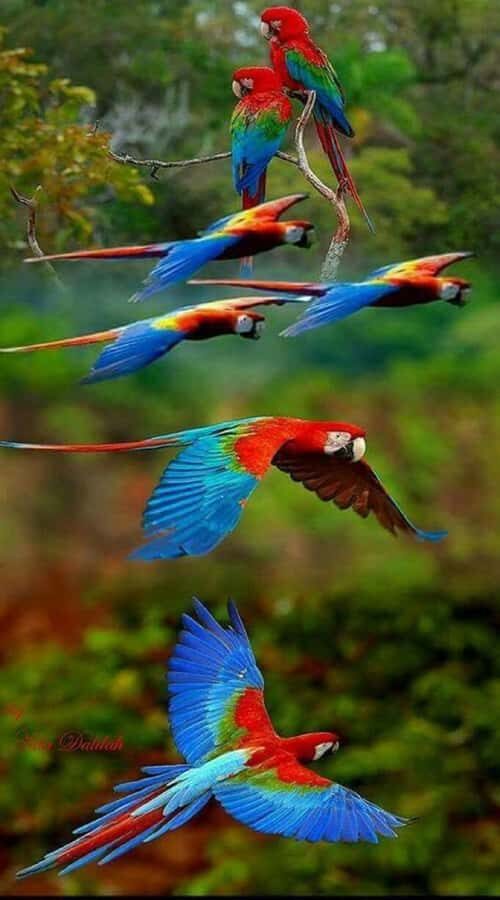 Cartagena: Entrance to the AVIARY with TRANSFER INCLUDED - Getting to the tour: pickup zones and exact meeting points